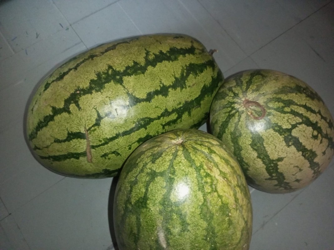 Watermelon from Kenya
